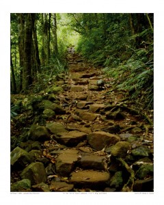 "To The Top Of Mount Warning" (3 of 4) - NSW, Australia